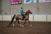2019 Morgan Horse Show - Aug 30, 2019 - 30628