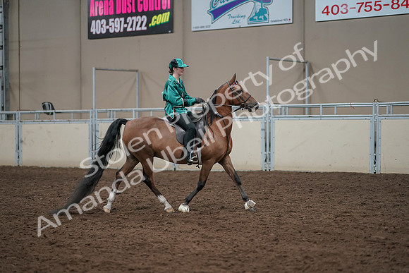 2019 Morgan Horse Show - Aug 30, 2019 - 30628
