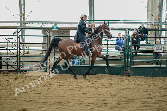 July 21, 2019 - 01739