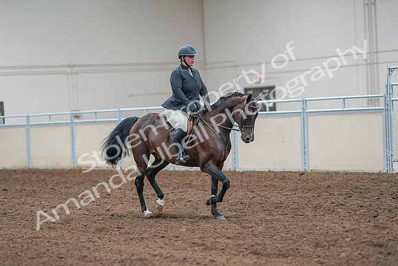2020 - AB Morgan Horse - Sat, Sept 05 - 09344