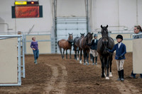 2020 - AB Morgan Horse - Fri, Sept 04 - 00721