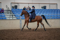 2019 Morgan Horse Show - Aug 30, 2019 - 28362
