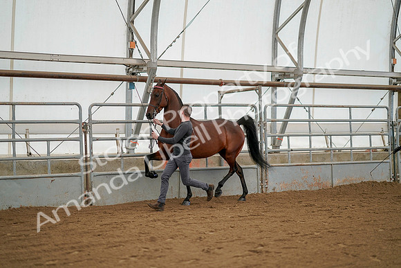 July 19, 2019 - 1235