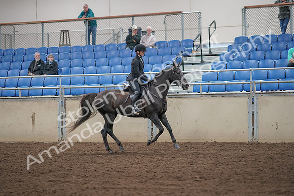 2019 Morgan Horse Show - Aug 31, 2019 - 07541