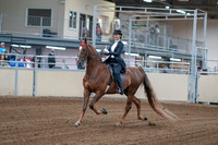 2020 - AB Morgan Horse - Fri, Sept 04 - 06238