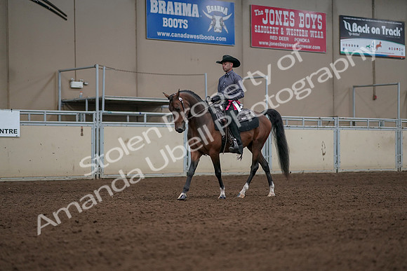 2019 Morgan Horse Show - Aug 31, 2019 - 06251