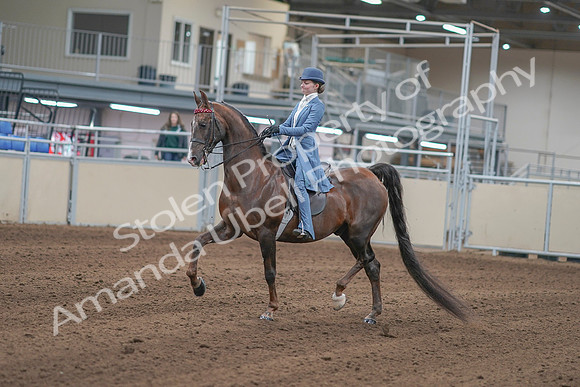 2020 - AB Morgan Horse - Sun, Sept 06 - 00010