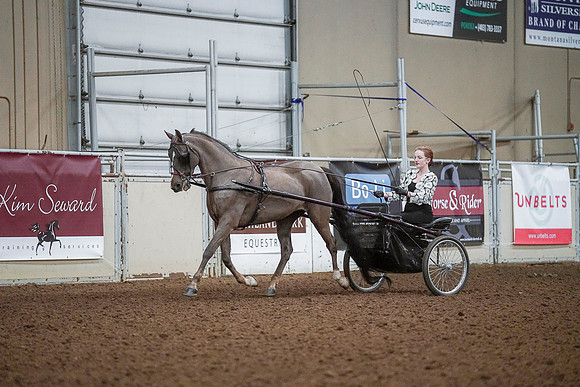 Spring Fling - Saturday - April 20, 2019  -  00208