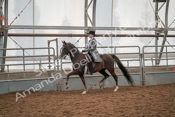 July 19, 2019 - 12873