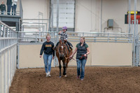 2020 - AB Morgan Horse - Sat, Sept 05 - 10064