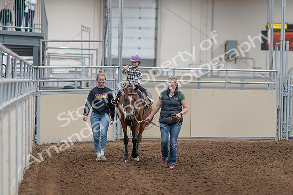 2020 - AB Morgan Horse - Sat, Sept 05 - 10064