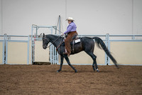 2020 - AB Morgan Horse - Sat, Sept 05 - 05667