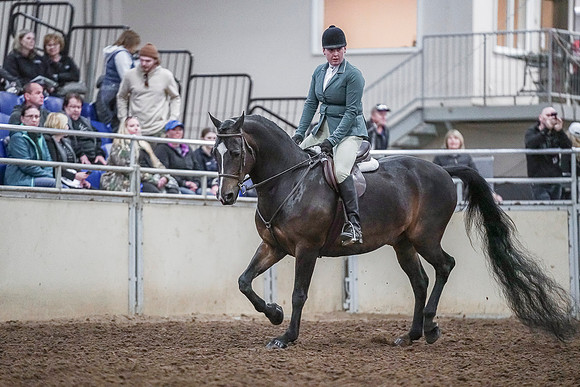 Spring Fling - Saturday - April 20, 2019  -  03769