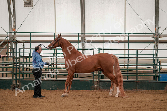 July 19, 2019 - 101