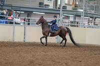 2020 - AB Morgan Horse - Sat, Sept 05 - 04751