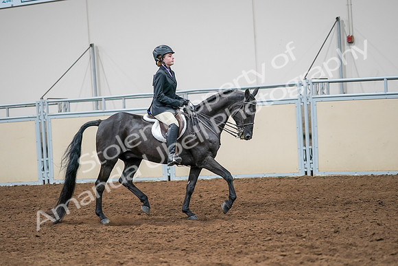 2020 - AB Morgan Horse - Sun, Sept 06 - 08044