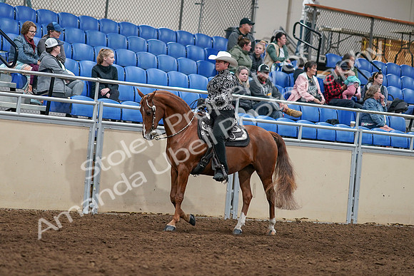 2020 - AB Morgan Horse - Sun, Sept 06 - 07488