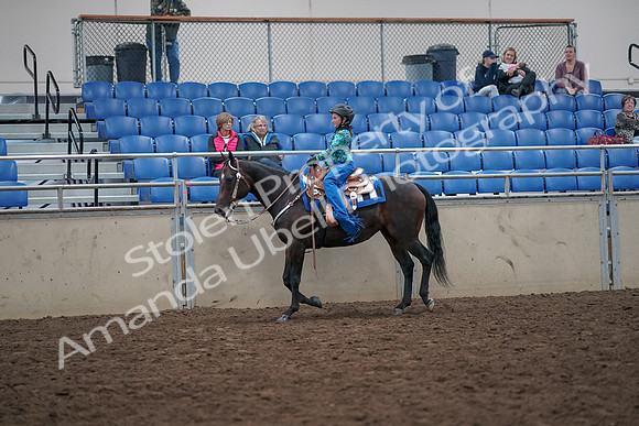 2019 Morgan Horse Show - Aug 31, 2019 - 16315