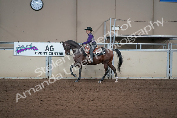 2019 Morgan Horse Show - Aug 31, 2019 - 10592