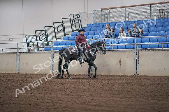 2019 Morgan Horse Show - Aug 31, 2019 - 10664