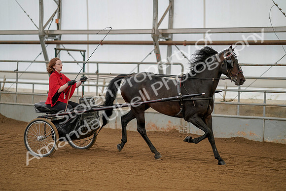 July 20, 2019 - 00236