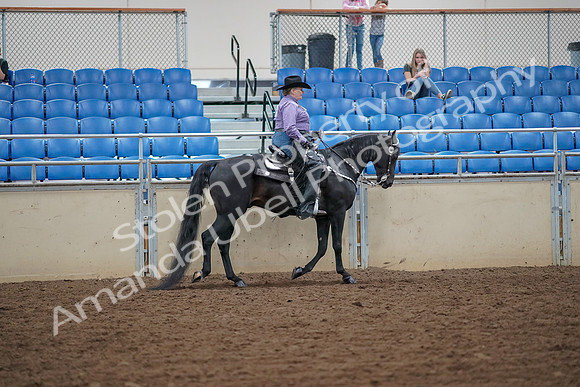 2019 Morgan Horse Show - Aug 30, 2019 - 17053