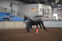 2019 Morgan Horse Show - Aug 31, 2019 - 02099