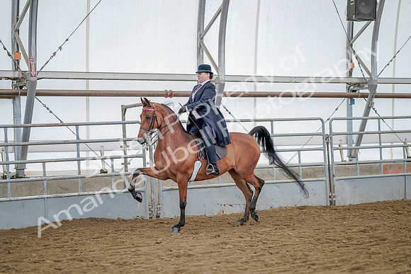 July 20, 2019 - 13681