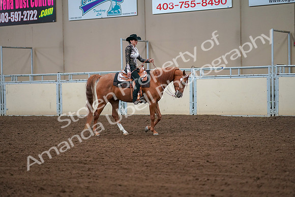 2019 Morgan Horse Show - Aug 30, 2019 - 16922