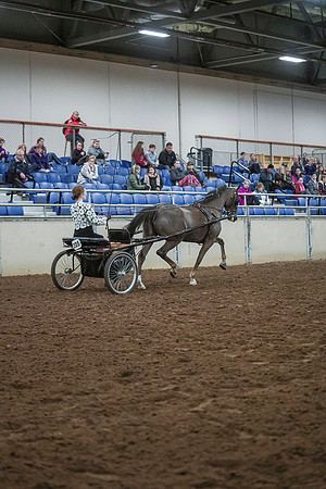 Spring Fling - Saturday - April 20, 2019  -  00270