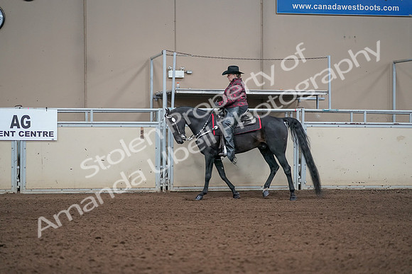 2019 Morgan Horse Show - Aug 31, 2019 - 10610