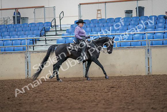 2019 Morgan Horse Show - Aug 30, 2019 - 16927