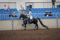 2019 Morgan Horse Show - Aug 31, 2019 - 09237