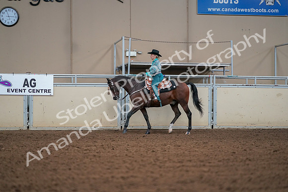 2019 Morgan Horse Show - Aug 30, 2019 - 16810