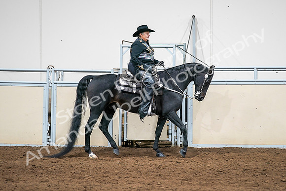 2020 - AB Morgan Horse - Sat, Sept 05 - 08949
