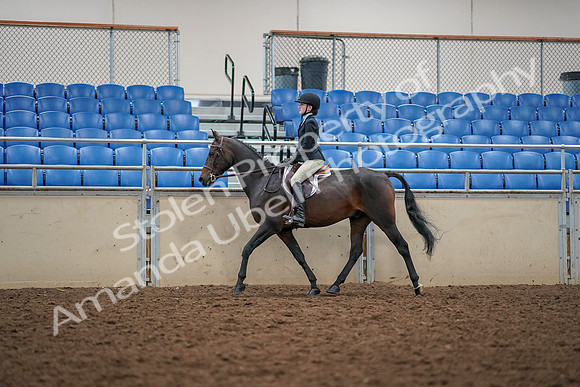 2019 Morgan Horse Show - Aug 30, 2019 - 23125