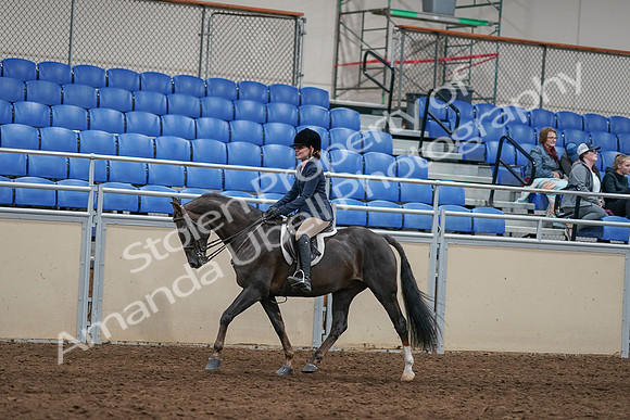 2020 - AB Morgan Horse - Sun, Sept 06 - 07957