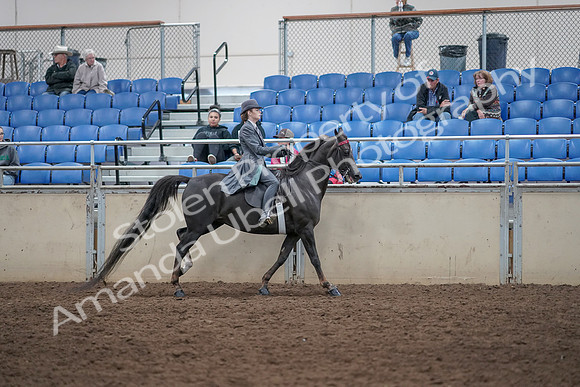 2019 Morgan Horse Show - Aug 31, 2019 - 09728
