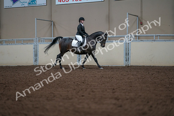 2019 Morgan Horse Show - Aug 30, 2019 - 18625