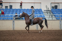 2019 Morgan Horse Show - Aug 31, 2019 - 07154