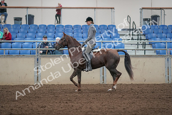 2019 Morgan Horse Show - Aug 31, 2019 - 07154