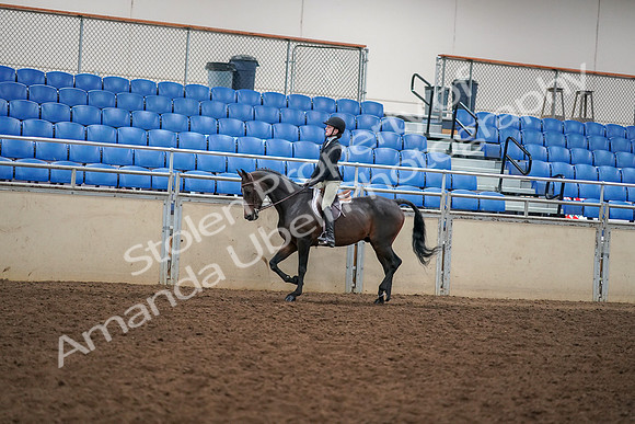 2019 Morgan Horse Show - Aug 30, 2019 - 12252