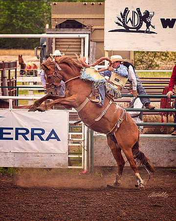 rodeo - 010