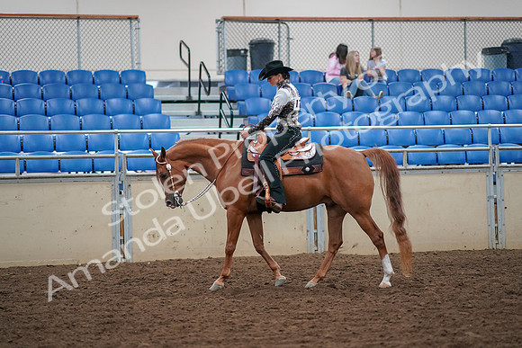 2019 Morgan Horse Show - Aug 30, 2019 - 16731