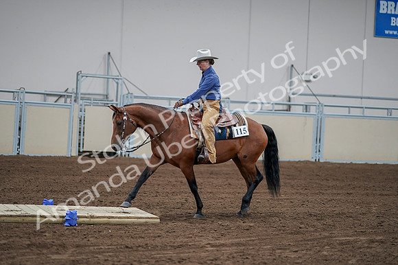 2020 - AB Morgan Horse - Fri, Sept 04 - 00161