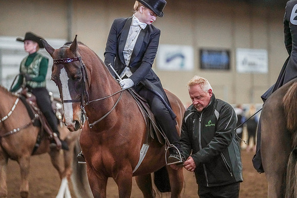 Spring Fling - Saturday - April 20, 2019  -  03886