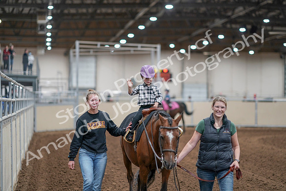 2020 - AB Morgan Horse - Sat, Sept 05 - 10080