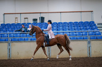2019 Morgan Horse Show - Aug 30, 2019 - 21391