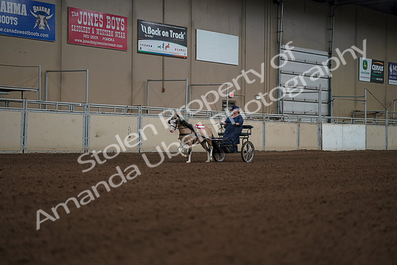2019 Morgan Horse Show - Aug 31, 2019 - 04580