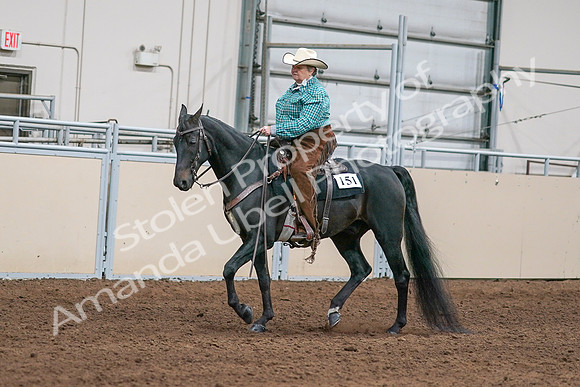 2020 - AB Morgan Horse - Sun, Sept 06 - 01574